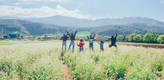 Cómo Crear una Cooperativa