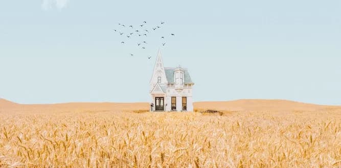 La Renuncia a los Gananciales ¿Cuando se Necesita?