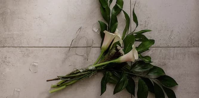 Requisitos para divorciarse en Chile