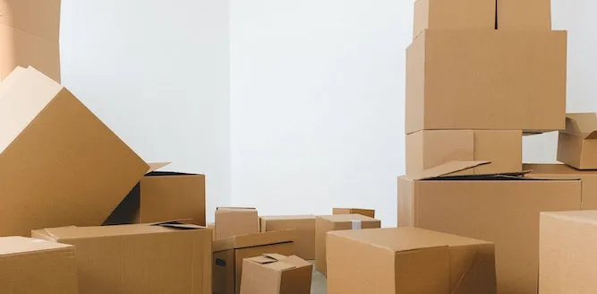 Transferir Bienes para Evitar un Embargo: La Importancia de la Planificación Legal