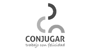 conjugar conjugar